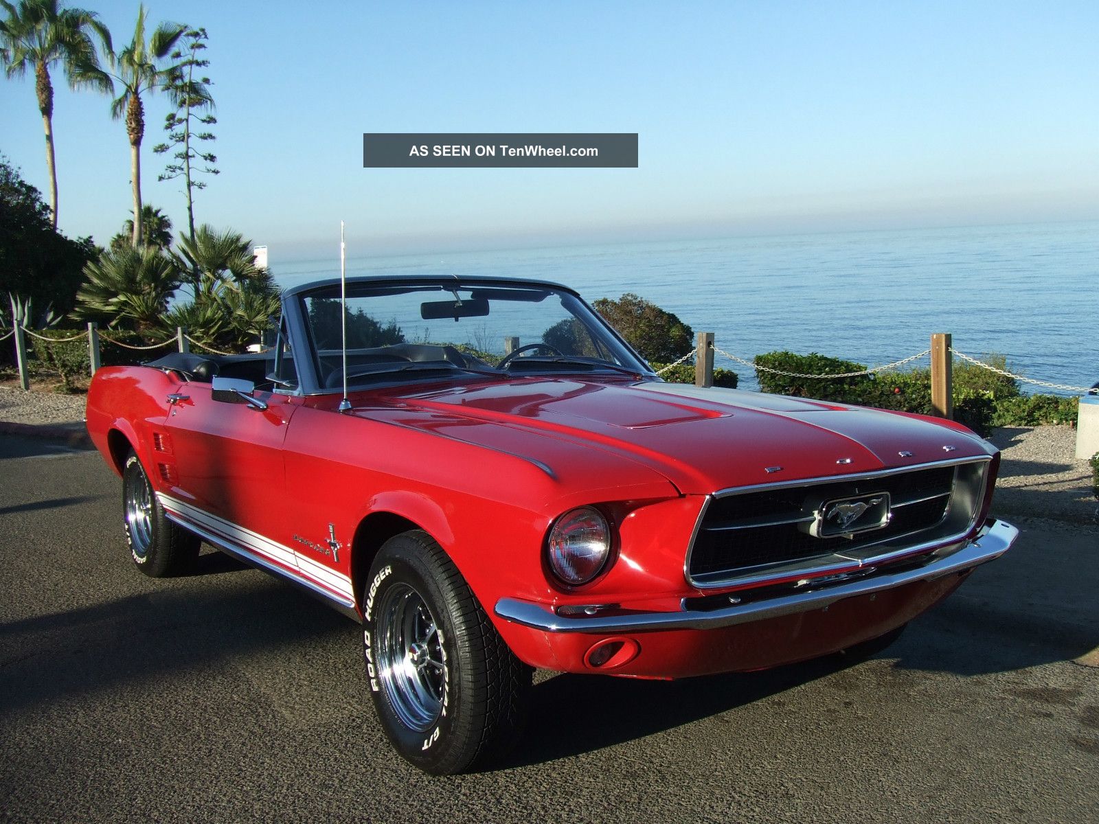 a look at the unique features of the mustang Engines and standard features the 1965 mustang used a 170-cubic-inch straight-six which has become mustang’s signature look the interior had a unique. a look at the unique features of the mustang Engines and standard features the 1965 mustang used a 170-cubic-inch straight-six which has become mustang’s signature look the interior had a unique.
