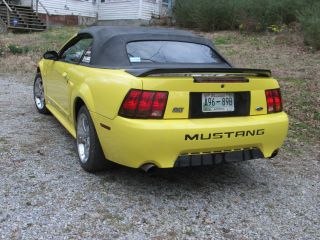 1999 Cobra Mustang Convertible Svt 4.  6l Yellow With Black Top 5 Speed photo
