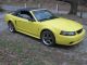 1999 Cobra Mustang Convertible Svt 4.  6l Yellow With Black Top 5 Speed Mustang photo 1