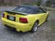 1999 Cobra Mustang Convertible Svt 4.  6l Yellow With Black Top 5 Speed Mustang photo 2