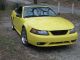 1999 Cobra Mustang Convertible Svt 4.  6l Yellow With Black Top 5 Speed Mustang photo 3