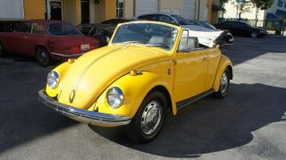 1969 Volkswagen Beetle Bug Convertible 2 Owners Only Yellow With Black photo