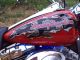 2005 Harley - Davidson Road King Limited Ed.  Willie G.  Skull Paint. Touring photo 1