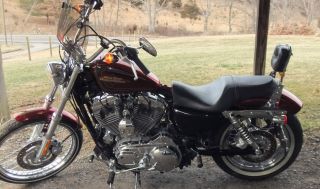 2012 Harley Davidson 1200l Custom With 72 On The Tank With Red Metal Flake Paint photo