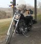 2012 Harley Davidson 1200l Custom With 72 On The Tank With Red Metal Flake Paint Sportster photo 2