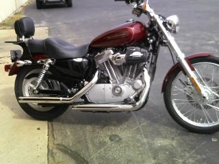 2009 Harley photo