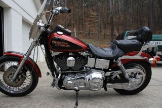 1998 Harley Davidson Dyna Low Rider.  Red / Black & Leopard Theme Custom photo