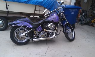 Harley - Davidson Ghost Flames Heritage 1992 Fxstc Softail photo