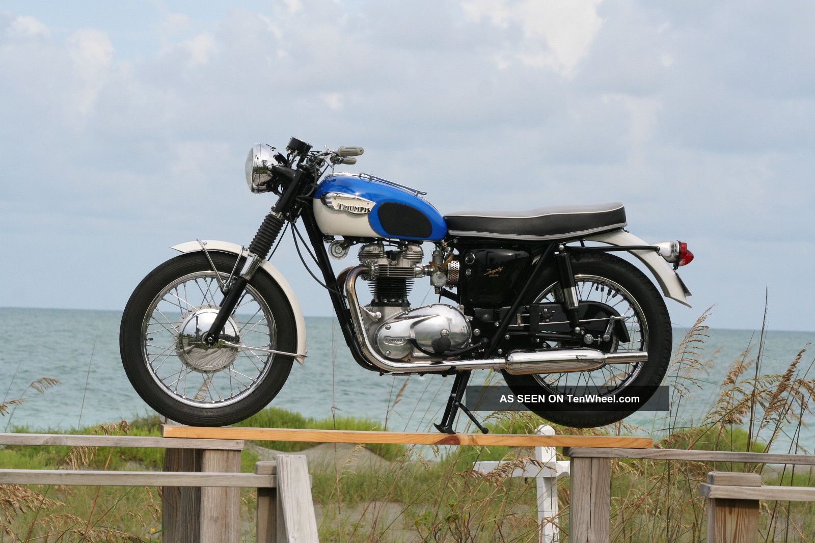1966 Triumph Tr6sr Trophy Motorcycle.  Amca Winners Circle.  98.  75 Point Judged. Trophy photo