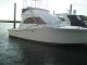 1990 Luhrs Offshore Saltwater Fishing photo 1