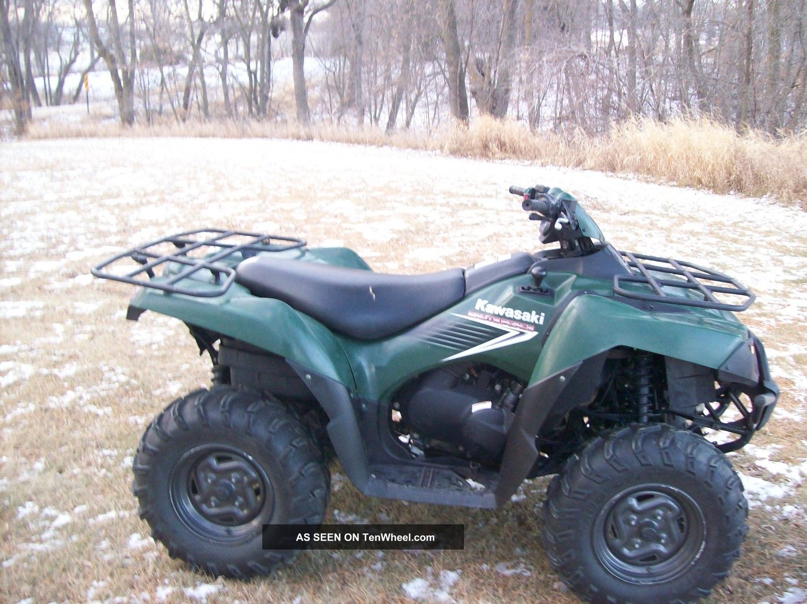 2006 Kawasaki 650 Brute Force