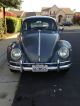 California Car,  No Rust, ,  1961 1962 1963 1964 1965 1967 1968 1969 Beetle - Classic photo 6