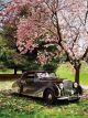 1947 Bentley Franay Custom Bodied National Concours Winner 8000 Hour Restoration Other photo 3