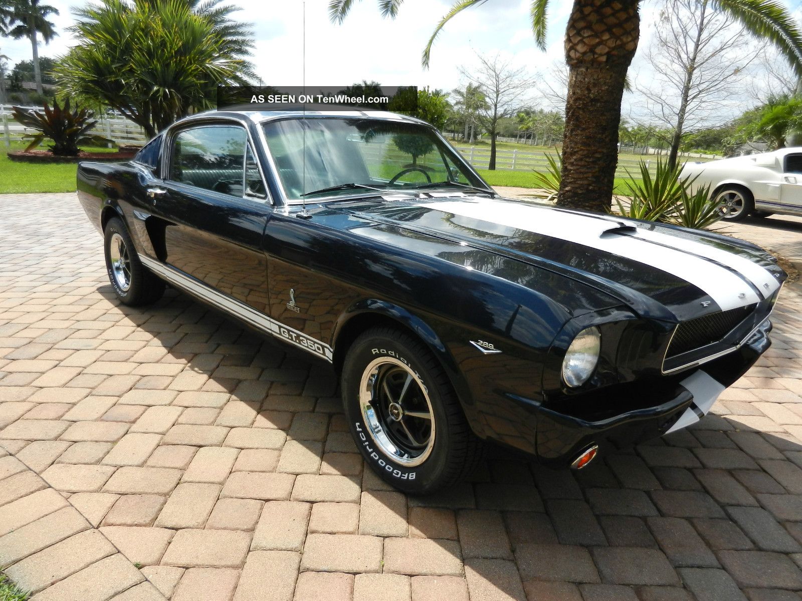 Awesome 1966 Mustang Fastback Shelby Gt350 Pkg 4 Spd Pony