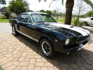 Awesome 1966 Mustang Fastback,  Shelby Gt350 Pkg,  4 Spd,  Pony Interior, photo
