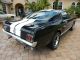 Awesome 1966 Mustang Fastback,  Shelby Gt350 Pkg,  4 Spd,  Pony Interior, Mustang photo 3