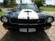 Awesome 1966 Mustang Fastback,  Shelby Gt350 Pkg,  4 Spd,  Pony Interior, Mustang photo 4