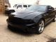 2010 Roush Stage 3 Ford Mustang Gt Shelby Killer Mustang photo 1