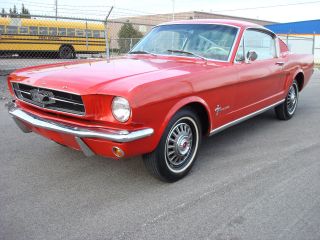 1965 Mustang Fastback Red White Interior 2 Plus 2 6 Cyl 3 Speed Car Low / R photo