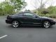 1996 Ford Mustang Svt Cobra Coupe 2 - Door 4.  6l Mustang photo 5