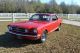 1965 Ford Mustang Gt Mustang photo 2