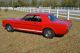 1965 Ford Mustang Gt Mustang photo 6