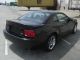 2004 Ford Mustang Svt Cobra Coupe 2 - Door 4.  6l Mustang photo 3