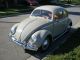 1955 Vw Beetle Beetle - Classic photo 1