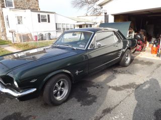1966 Ford Mustang photo