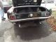 1966 Ford Mustang Mustang photo 7