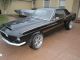 1967 Ford Mustang Gt 500 Shelby Clone Mustang photo 1
