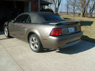 2002 Mustang Gt Convertable photo