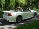 2001 Pearl White Mustang Gt V8 Convertible Saleen Clone Roll Bar Mustang photo 1