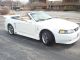 2001 Pearl White Mustang Gt V8 Convertible Saleen Clone Roll Bar Mustang photo 2