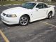 2001 Pearl White Mustang Gt V8 Convertible Saleen Clone Roll Bar Mustang photo 3