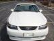 2001 Pearl White Mustang Gt V8 Convertible Saleen Clone Roll Bar Mustang photo 4