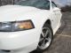 2001 Pearl White Mustang Gt V8 Convertible Saleen Clone Roll Bar Mustang photo 7