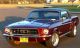 1967 Ford Mustang Coupe 289 V8 Restomod C4 Great Pony Daily Driver Mustang photo 1