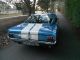 1966 Shelby Gt 350 Real Deal Shelby Shelby photo 5
