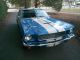 1966 Shelby Gt 350 Real Deal Shelby Shelby photo 8