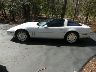 1984 Corvette photo
