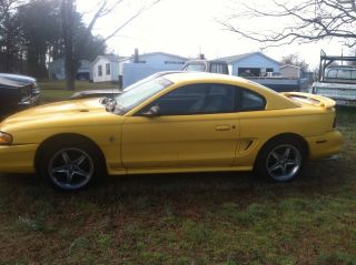 1998 Ford Mustang Base Coupe 2 - Door 3.  8l photo