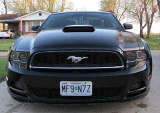 2013 Ford Mustang Pony Package 305hp 3.  7 6 Spd Manual Loaded Options photo