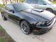 2013 Ford Mustang Pony Package 305hp 3.  7 6 Spd Manual Loaded Options Mustang photo 2