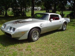 1981 Trans Am With Ws6 Special Performance Package photo