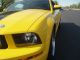 2005 Ford Mustang Gt Coupe 2 - Door 4.  6l Mustang photo 6