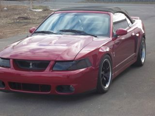 2003 Mustang Cobra Svt Supercharged 6 Speed Convertible photo