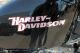 2008 Harley Davidson Sportster Sportster photo 2