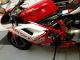 2008 Ducati 1098 Superbike Motorcycle W / Extras Superbike photo 7
