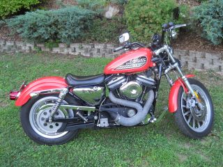 2002 Harley Davidson 883r Sportster photo